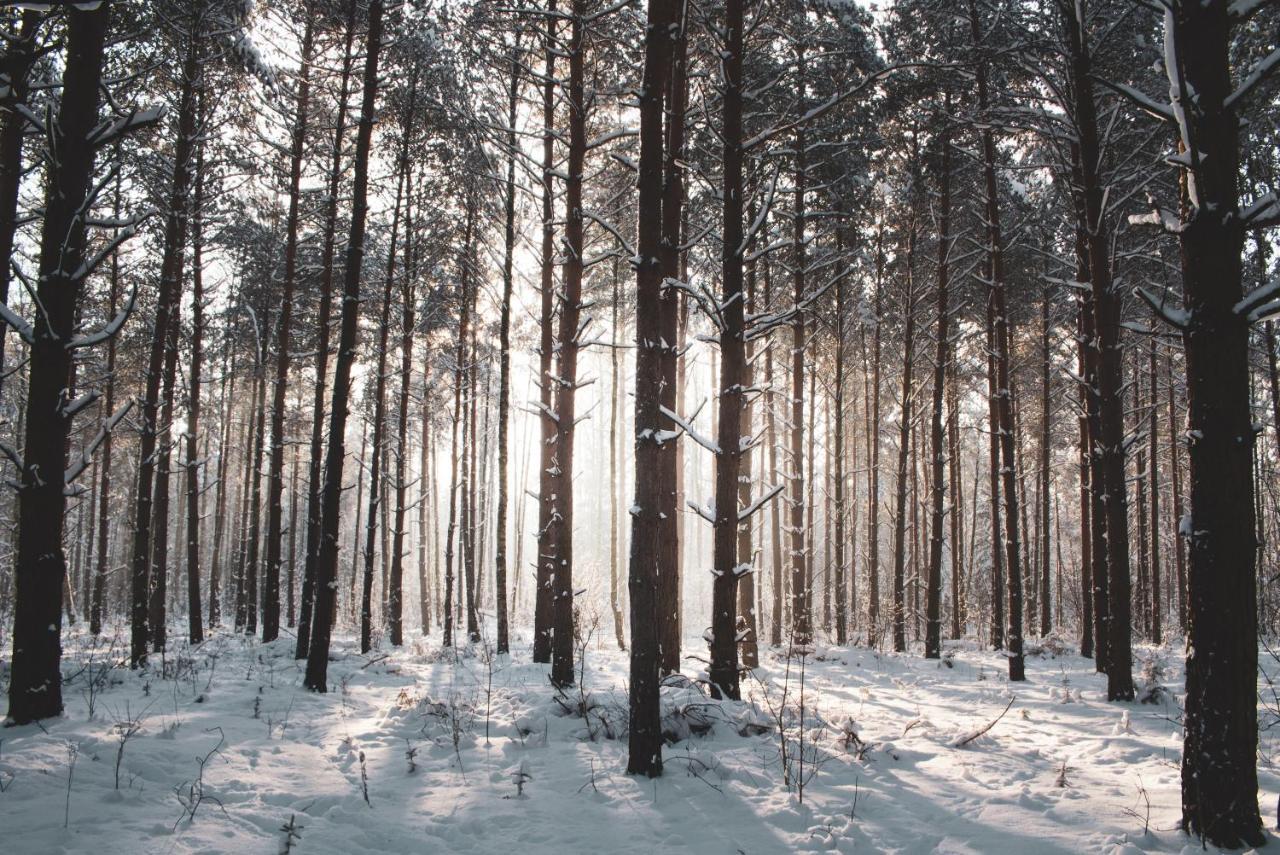 Lesna 21 Dom Poludnie Przy Puszcza Bialowieska Luka Exteriér fotografie