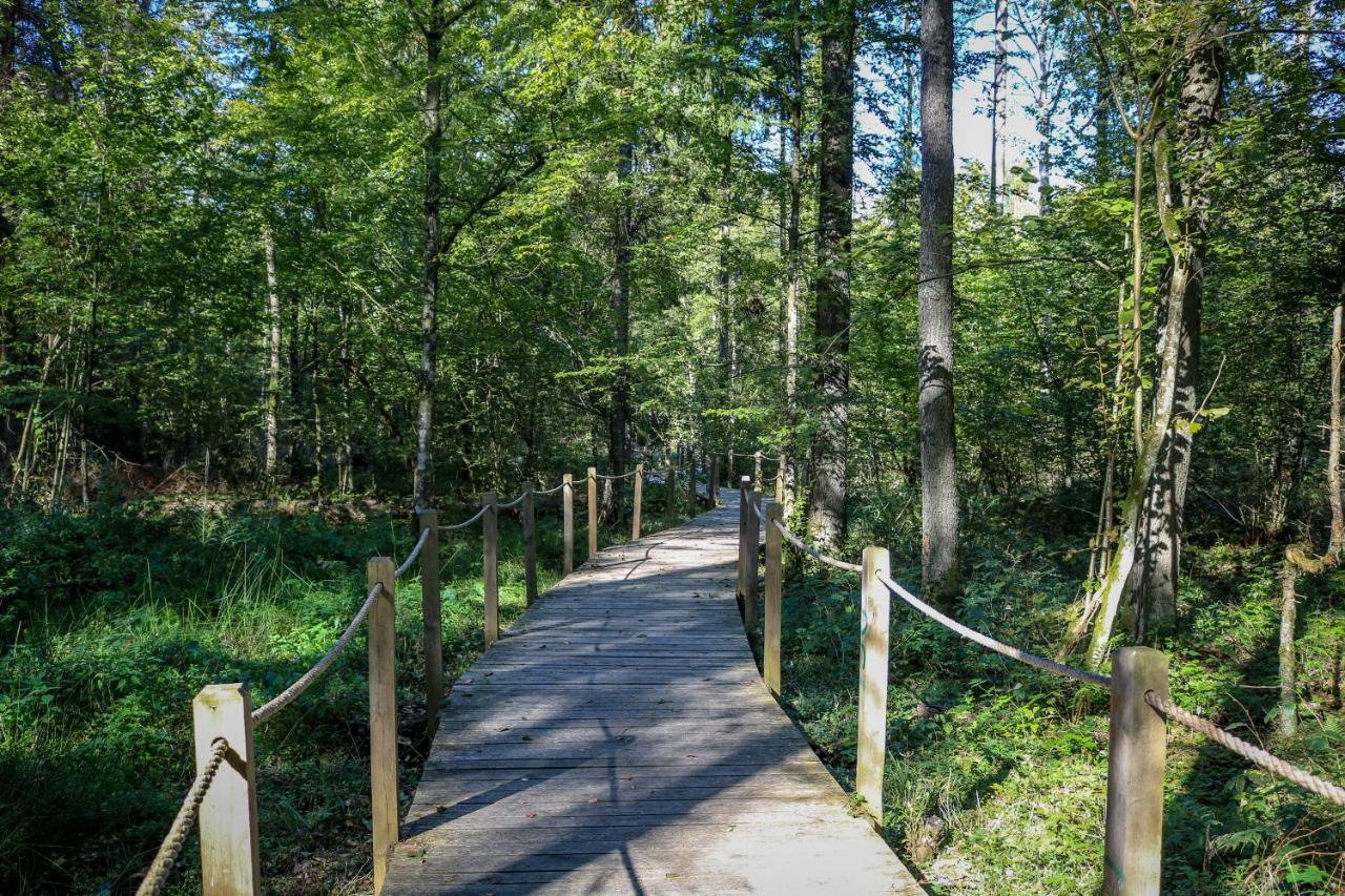 Lesna 21 Dom Poludnie Przy Puszcza Bialowieska Luka Exteriér fotografie