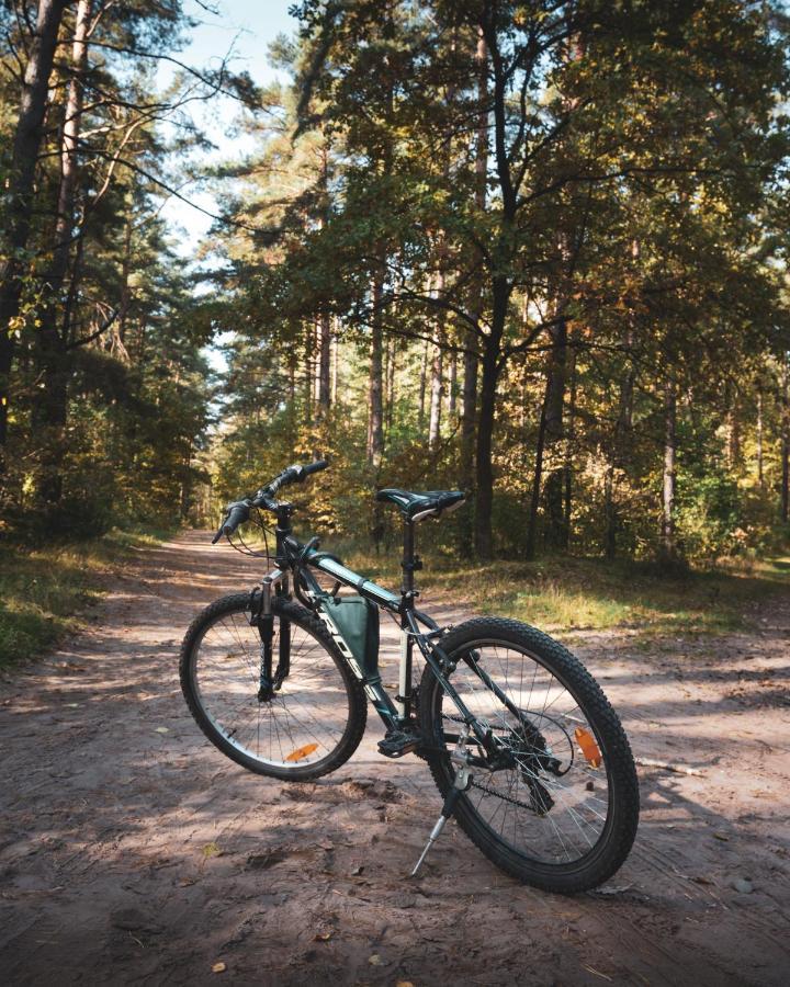 Lesna 21 Dom Poludnie Przy Puszcza Bialowieska Luka Exteriér fotografie