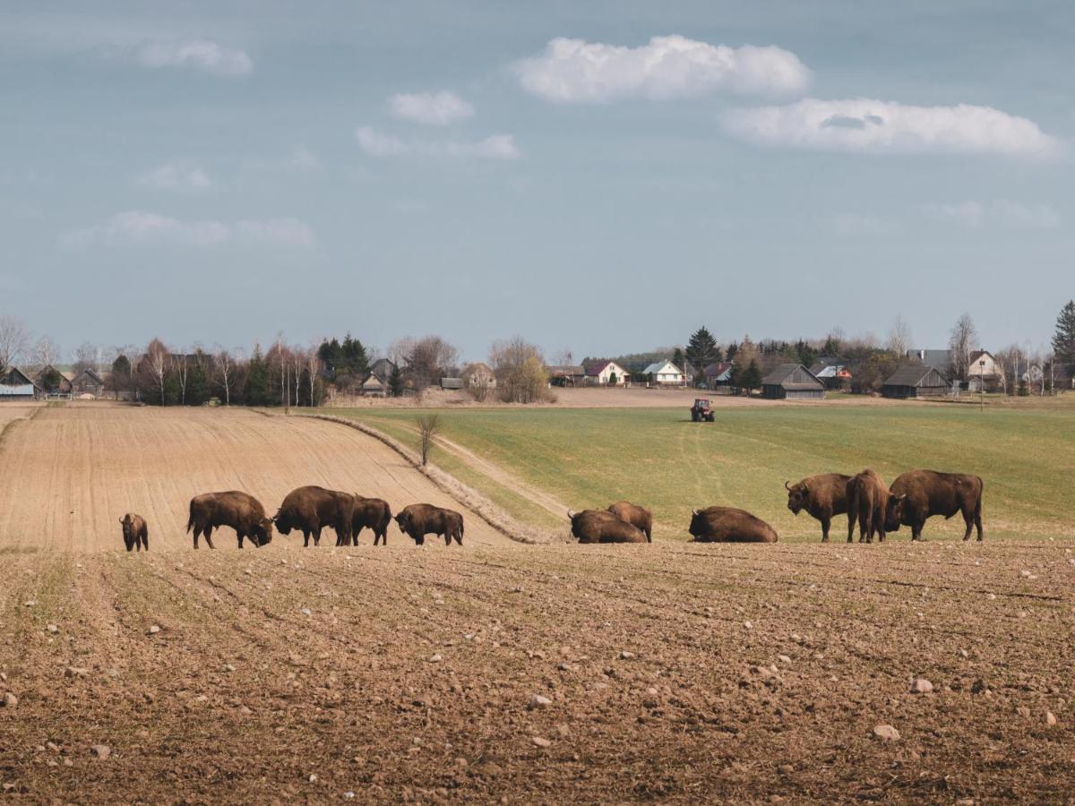 Lesna 21 Dom Poludnie Przy Puszcza Bialowieska Luka Exteriér fotografie