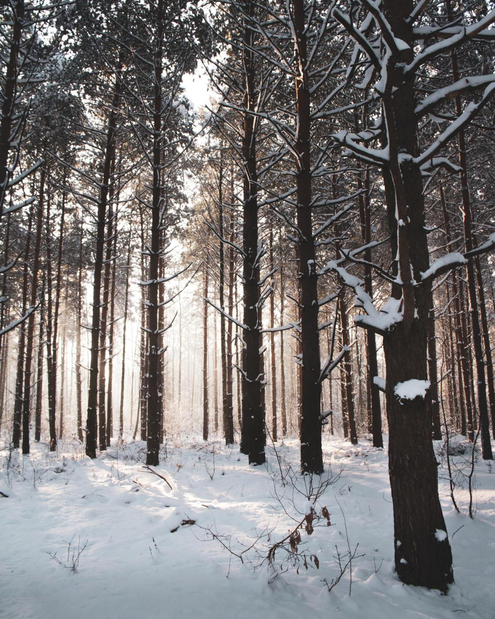 Lesna 21 Dom Poludnie Przy Puszcza Bialowieska Luka Exteriér fotografie