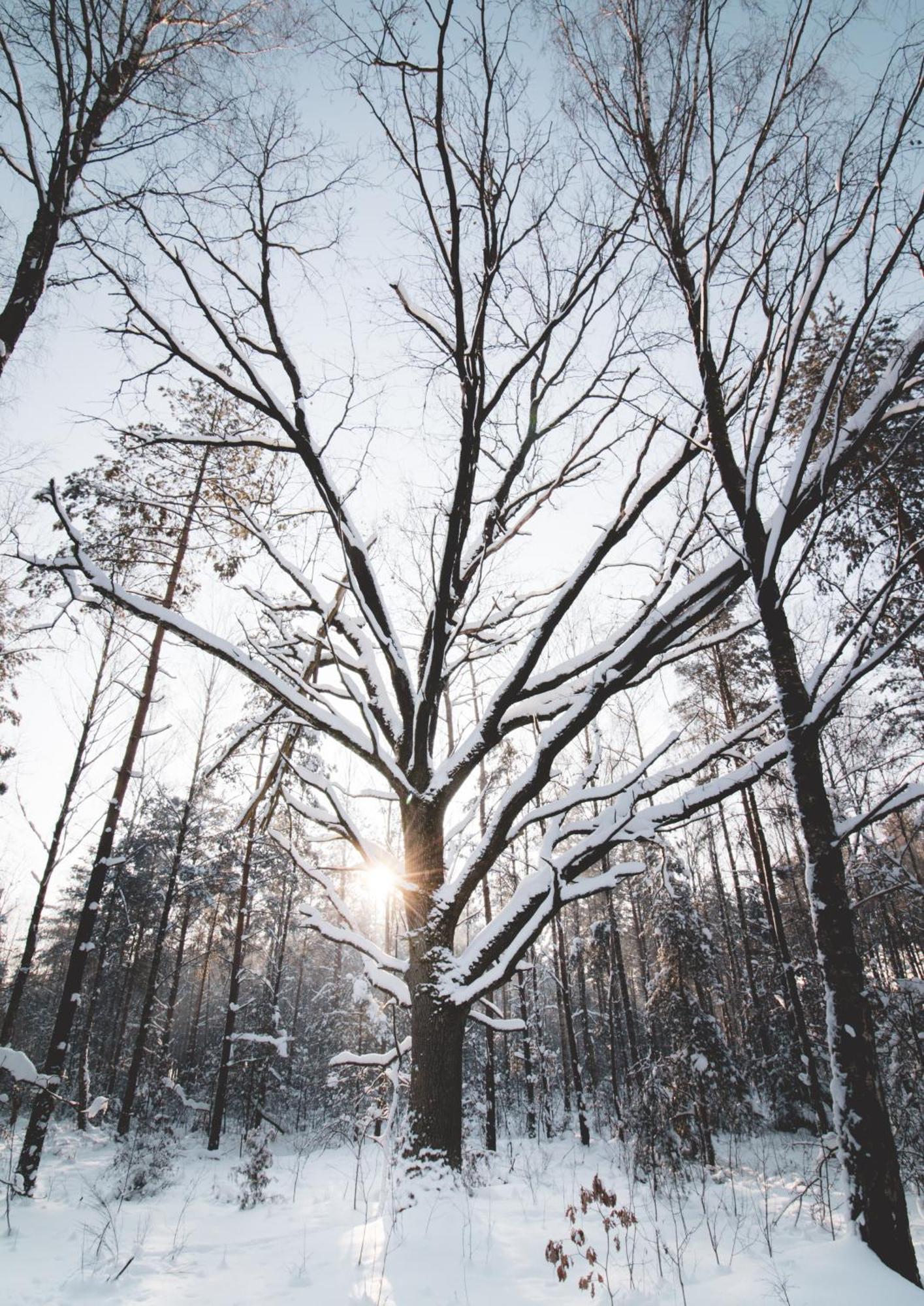 Lesna 21 Dom Poludnie Przy Puszcza Bialowieska Luka Exteriér fotografie